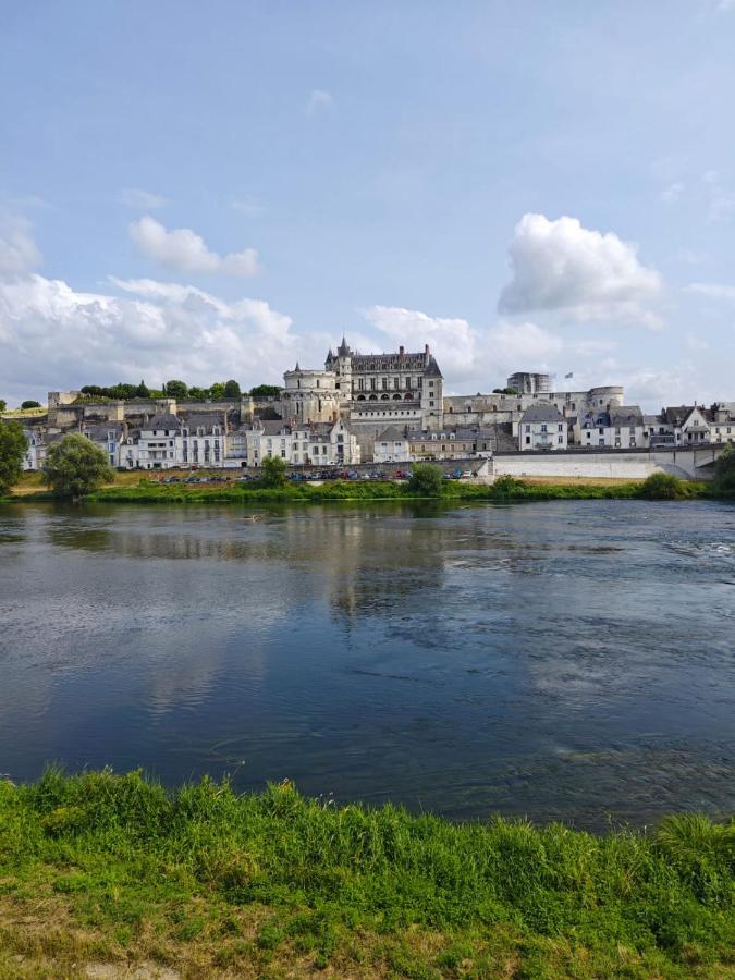 Le Nid De L'Ile Villa Amboise Exterior foto